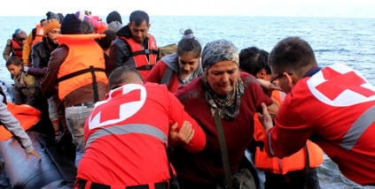 Federa&ccedil;&atilde;o, Comit&eacute; e Sociedades